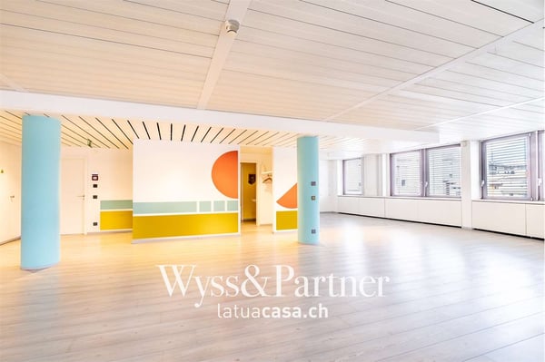 Chiasso - ampio e luminoso spazio commerciale 2