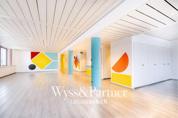 Chiasso - ampio e luminoso spazio commerciale 4