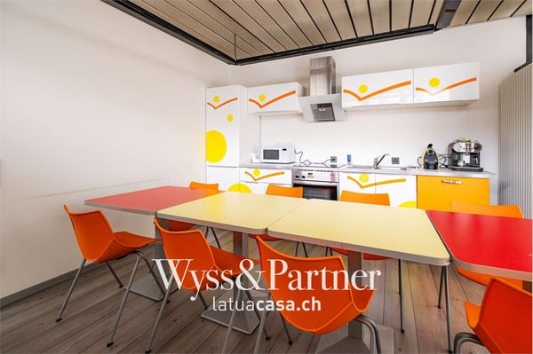 Chiasso - ampio e luminoso spazio commerciale 8