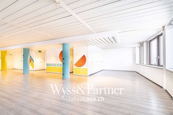 Chiasso - ampio e luminoso spazio commerciale 3