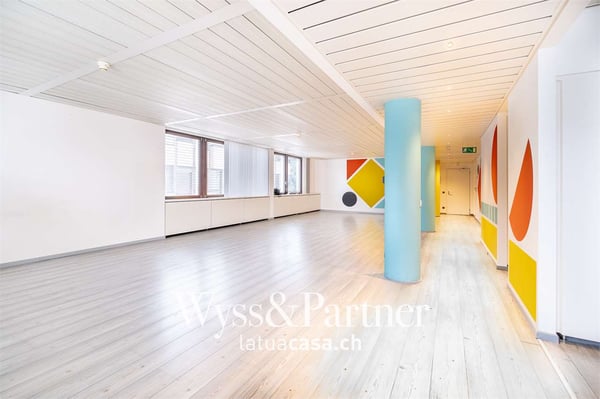 Chiasso - ampio e luminoso spazio commerciale 1