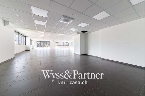 Giubiasco, nuovi spazi commerciali 3