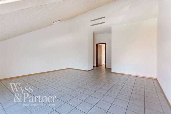 Bellinzona - Appartamento 1.5 locali in affitto in centro città 3