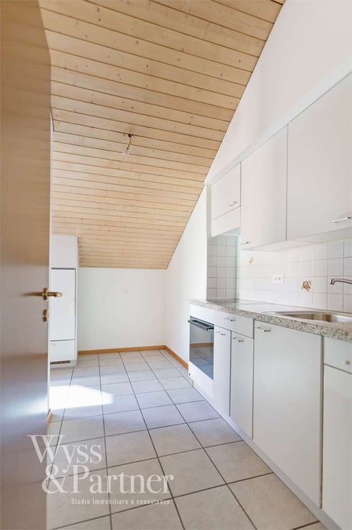 Bellinzona - Appartamento 1.5 locali in affitto in centro città 2