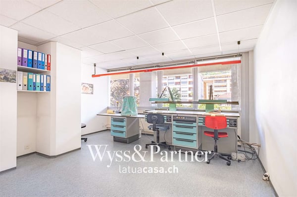 Locarno - pratico e spazioso ufficio 1