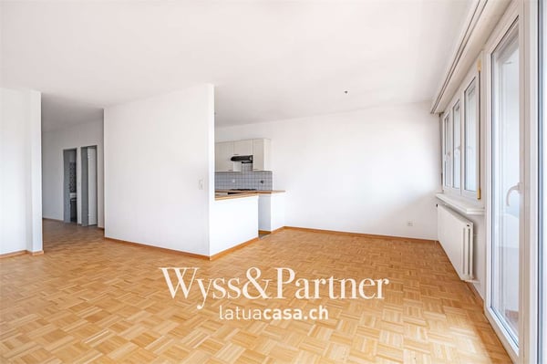 Chiasso - spazioso 1.5 locali in affitto 3