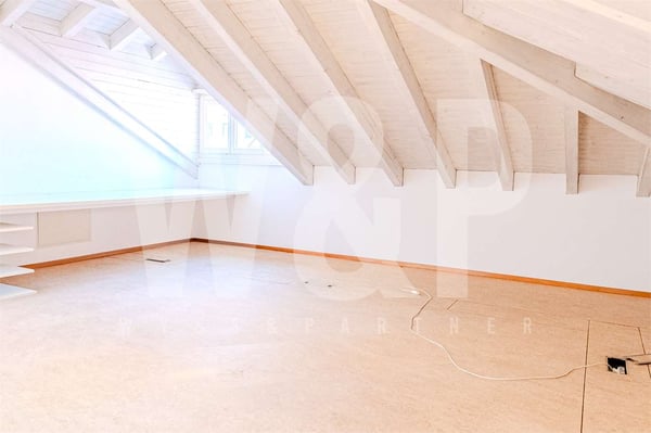 Bellinzona centro - Ufficio duplex luminoso 8