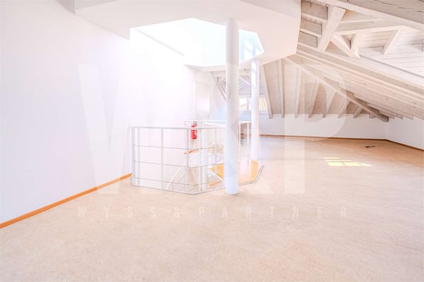 Bellinzona centro - Ufficio duplex luminoso 10