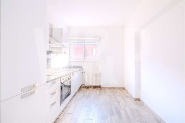 In affitto - Appartamento 1.5 locali in zona tranquilla 2