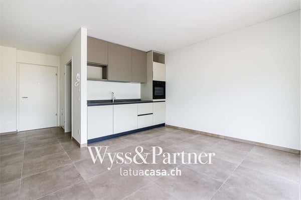 Bellinzona, 2.5 locali in zona panoramica 2