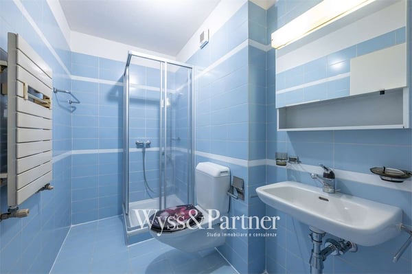 Biasca - Ampio e luminoso 1.5 locali 5