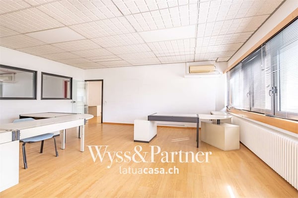 Lugano - spaziosi e pratici uffici 10