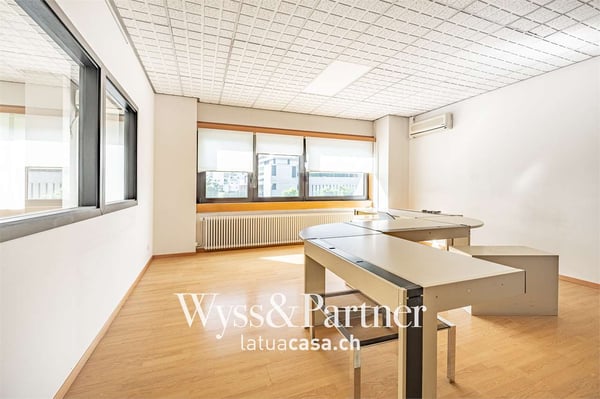 Lugano - spaziosi e pratici uffici 1