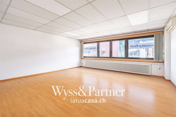 Lugano - spaziosi e pratici uffici 12