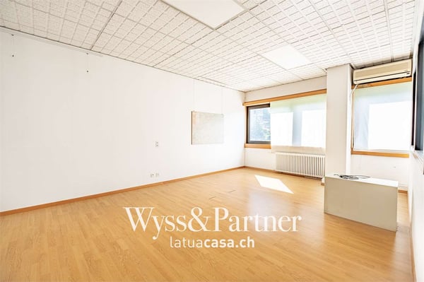 Lugano - spaziosi e pratici uffici 13