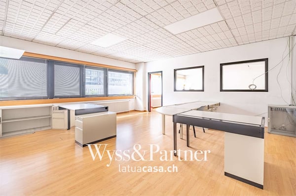 Lugano - spaziosi e pratici uffici 2