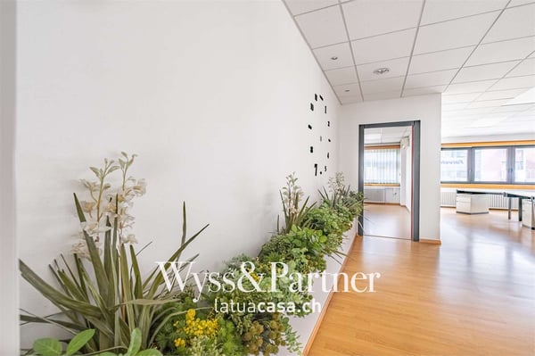 Lugano - spaziosi e pratici uffici 5