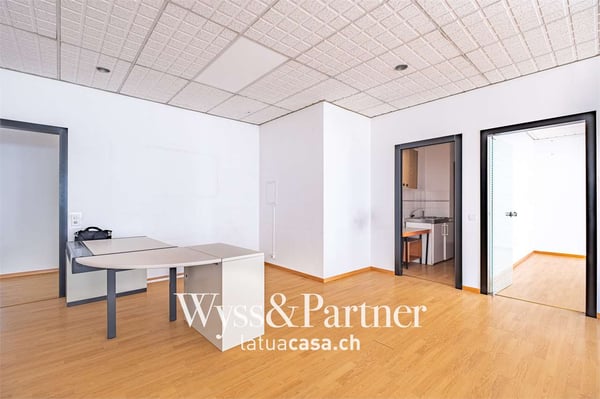 Lugano - spaziosi e pratici uffici 8