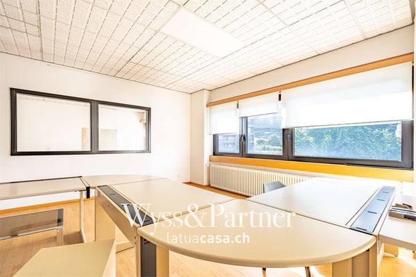 Lugano - spaziosi e pratici uffici 7