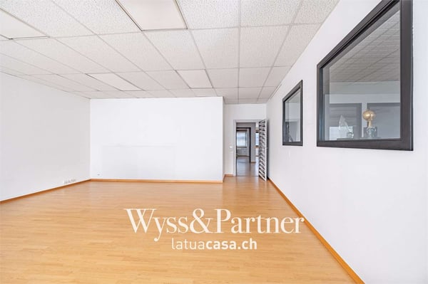 Lugano - spaziosi e pratici uffici 11