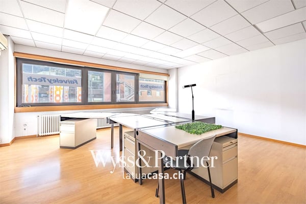 Lugano - spaziosi e pratici uffici 3