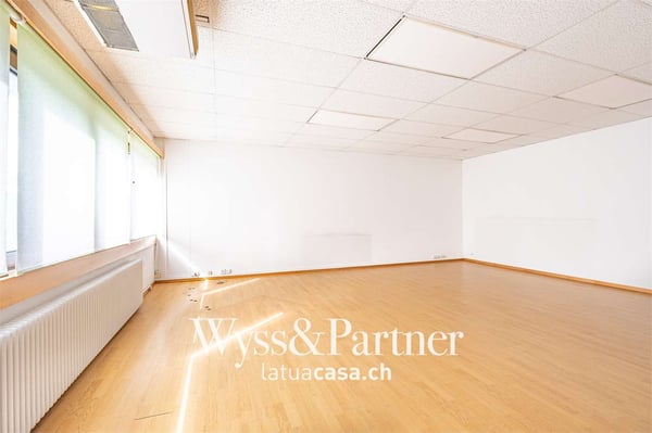 Lugano - spaziosi e pratici uffici 9
