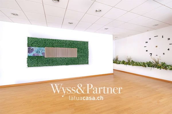 Lugano - spaziosi e pratici uffici 6