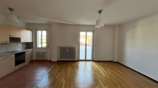 Massagno - Ampio e luminoso 1.5 locali 2