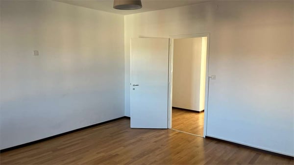 Massagno - Ampio e luminoso 1.5 locali 5