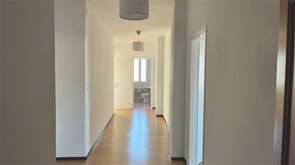 Massagno - Ampio e luminoso 1.5 locali 9