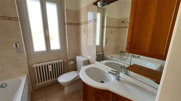 Massagno - Ampio e luminoso 1.5 locali 7