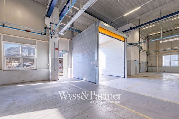 Agno - ampio spazio commerciale 7