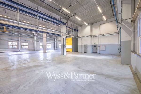 Agno - ampio spazio commerciale 3