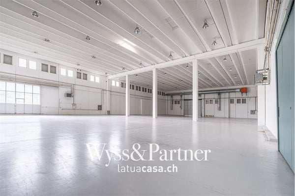 Bioggio, grande spazio commerciale modulabile 1