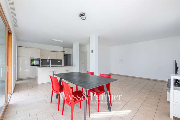 Cadenazzo - moderna casa unifamiliare 4