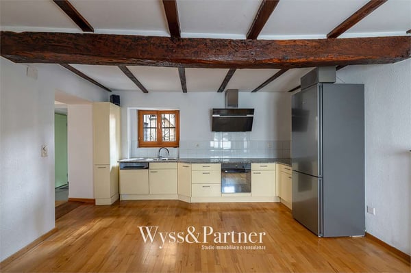 Brè sopra Lugano -Ampio duplex di 4.5 locali con giardino 5
