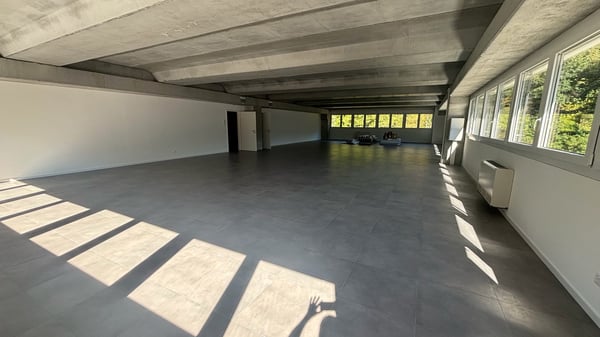 MEZZOVICO - ufficio nuovo, luminoso e divisibile 16