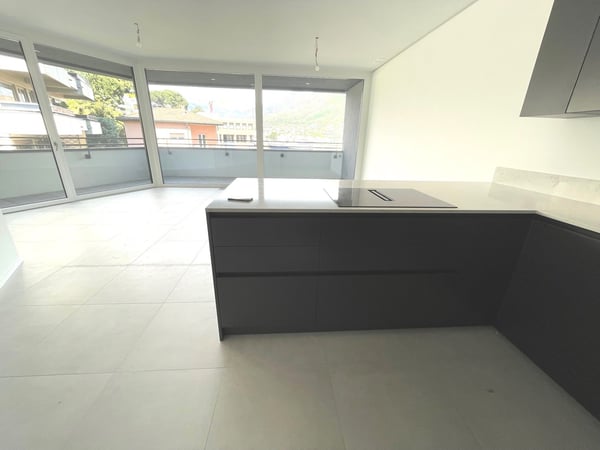 LUGANO - ULTIMO APPARTAMENTO 1 LOCALI IN AFFITTO 12