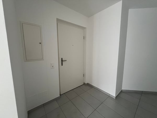 1.5 locali con Giardino a Ponte Capriasca 4