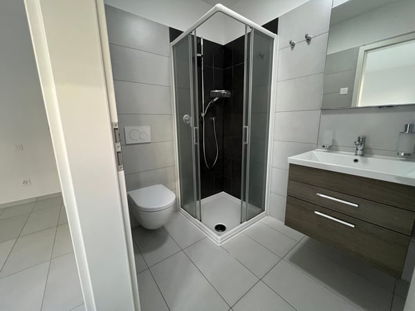 1.5 locali con Giardino a Ponte Capriasca 9