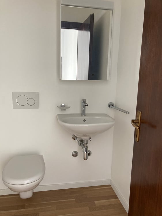 Luminosi locali commerciali in affitto al primo piano in ottima posizione centrale a Chiasso 5