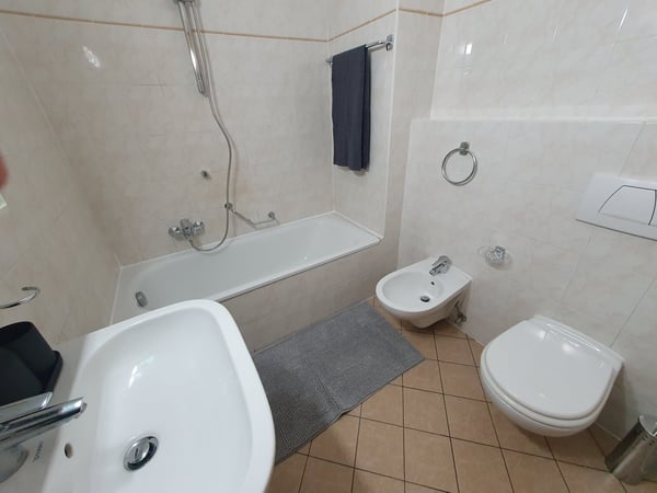 Affittasi Bilocali Arredati a Chiasso – Disponibili da Subito 10