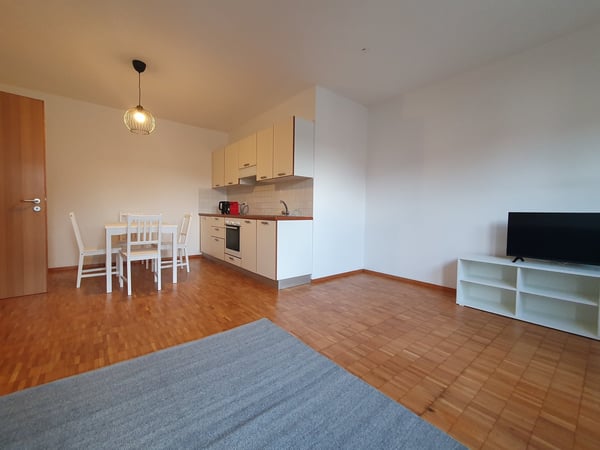 Affittasi Bilocali Arredati a Chiasso – Disponibili da Subito 5