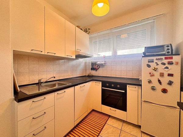 Lugano Centro, Luminoso Appartamento con terrazza, cantina 4