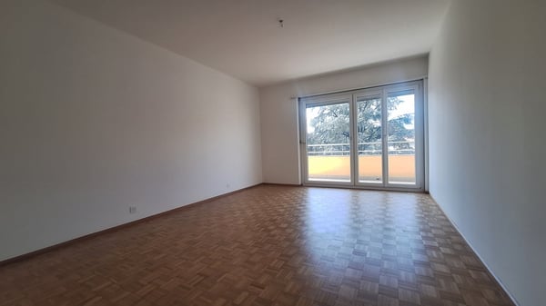 Viganello Centro,  Luminoso Appartamento con ampia terrazza, garage e posto auto 14