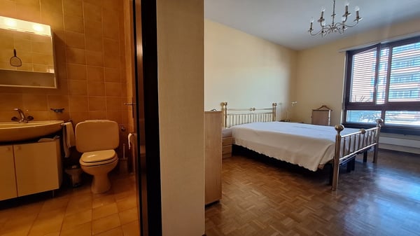 Fronte Lago di Lugano, Spazioso Appartamento loc 3,5, due bagni,  con Terrazza, cantina. 17