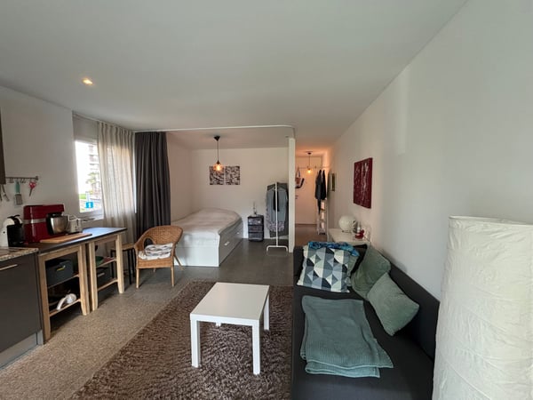 Moderno 1,5/2 locali ammobiliato con terrazzo e piscina 5