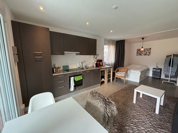 Moderno 1,5/2 locali ammobiliato con terrazzo e piscina 3