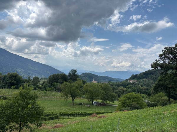 Immersa nella natura, spaziosa casa nel Malcantone con vista sul M. Rosa 14