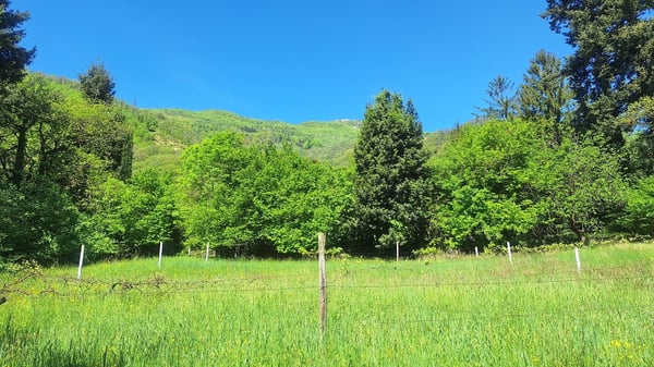 Terreno edificabile di 5'639 m² in posizione Soleggiata, Residenziale. 2